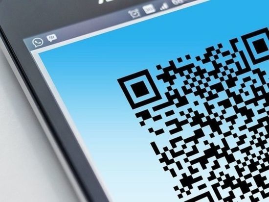 Законопроект о введении QR-кодов на транспорте снимут с рассмотрения