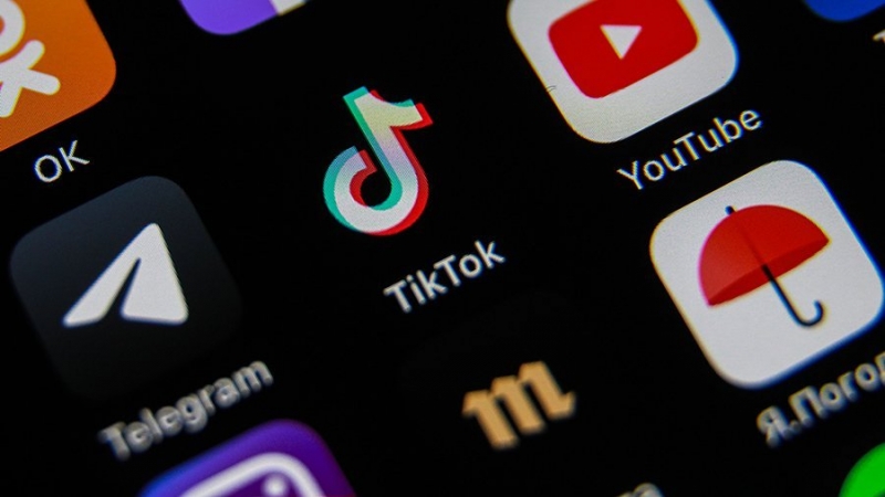 Губернатор Монтаны запретил приложение TikTok в штате